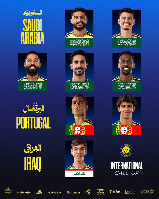 Eight Knights, representing their nations across the world 🌍⚔️